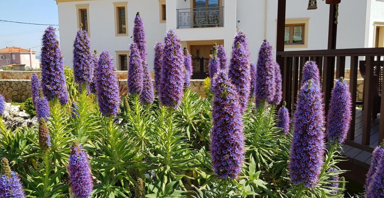 Villa Omega Kefalonia Karavados Exterior photo